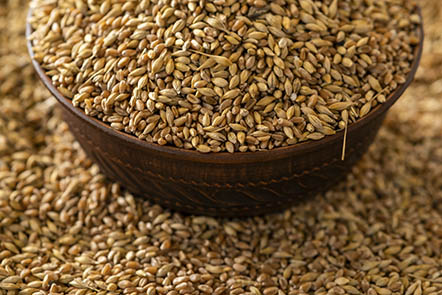 Влияние влажности зерна на выбор сит